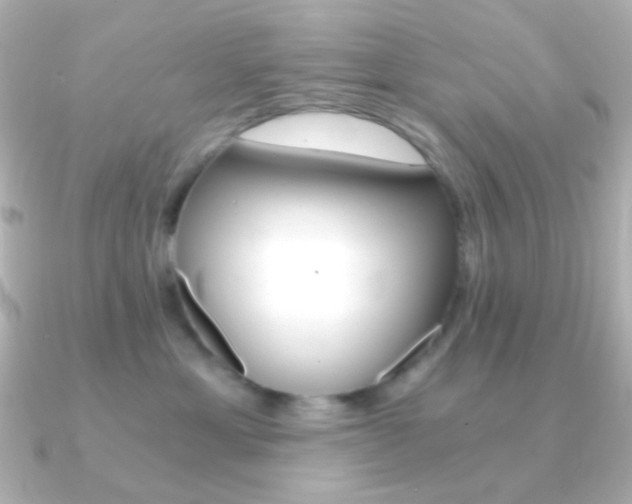 X0000091200429200708091043