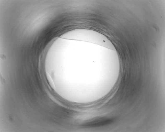 X0000091200431200708091043