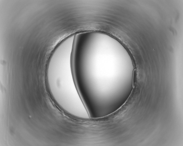 X0000091200434200708091043