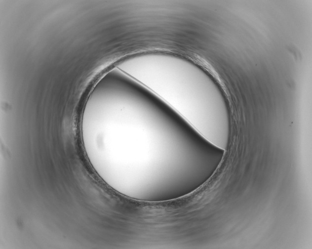 X0000091200435200708091043