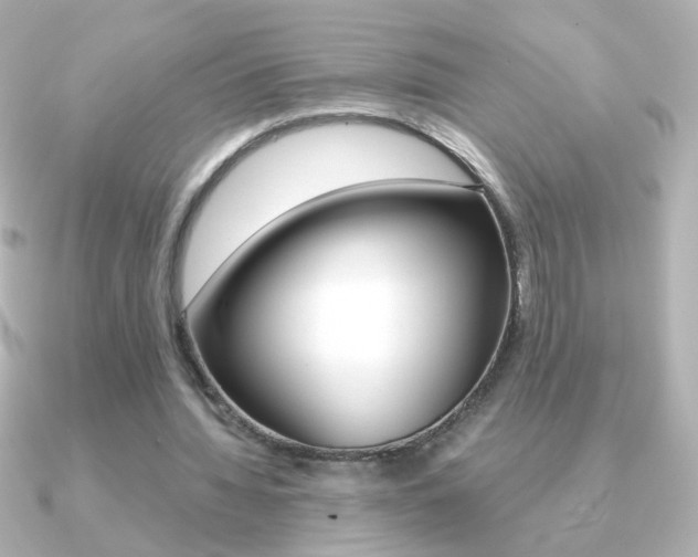 X0000091200436200708091043