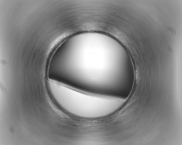 X0000091200438200708091043