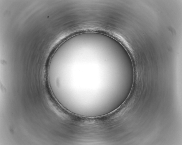 X0000091200439200708091043