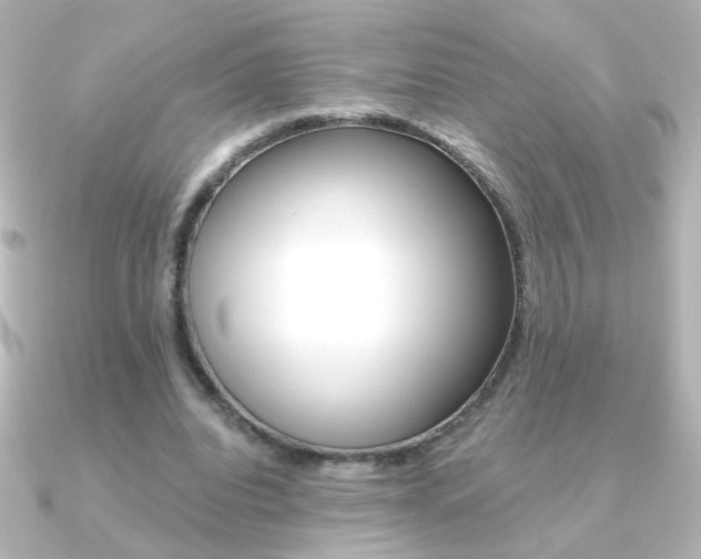 X0000091200440200708091043