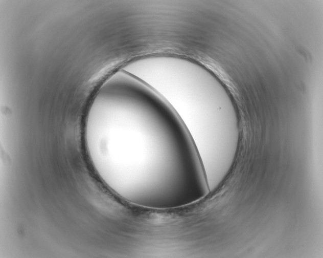 X0000091200442200708091043