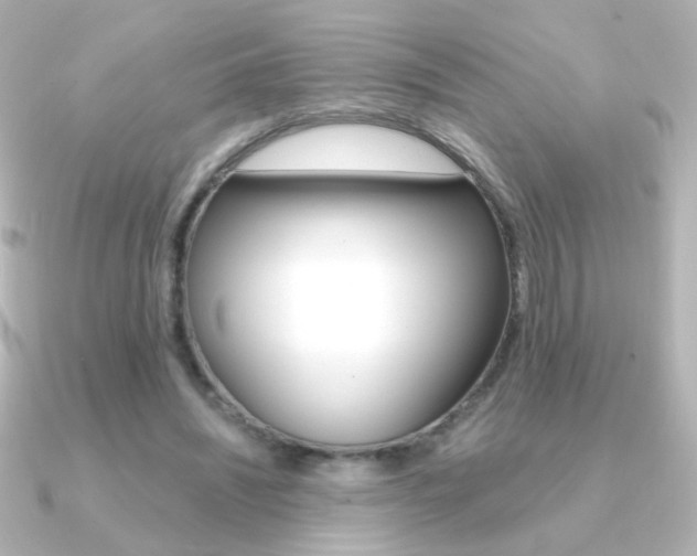 X0000091200444200708091043