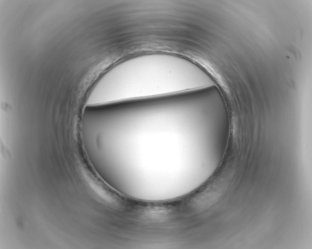 X0000091200445200708091043