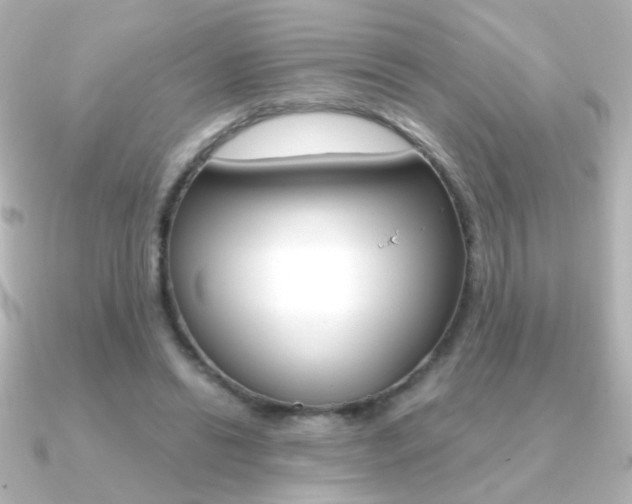 X0000091200446200708091043