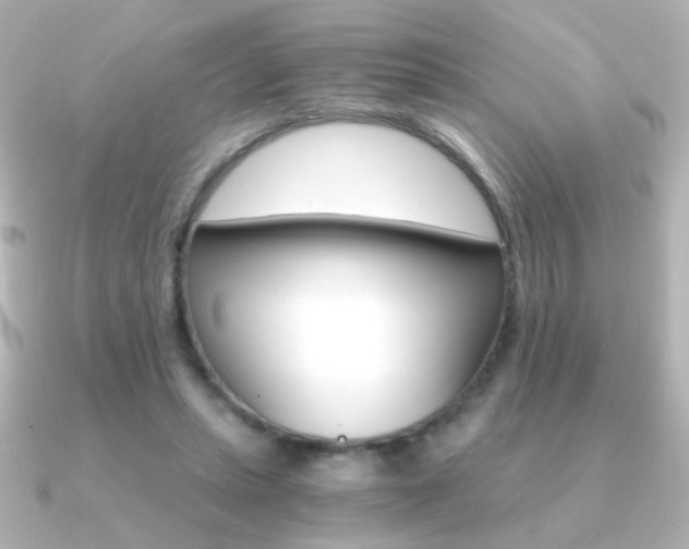 X0000091200447200708091043