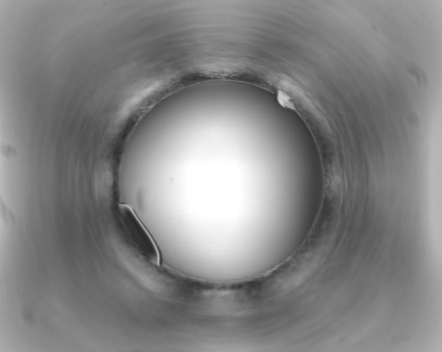 X0000091200448200708091043