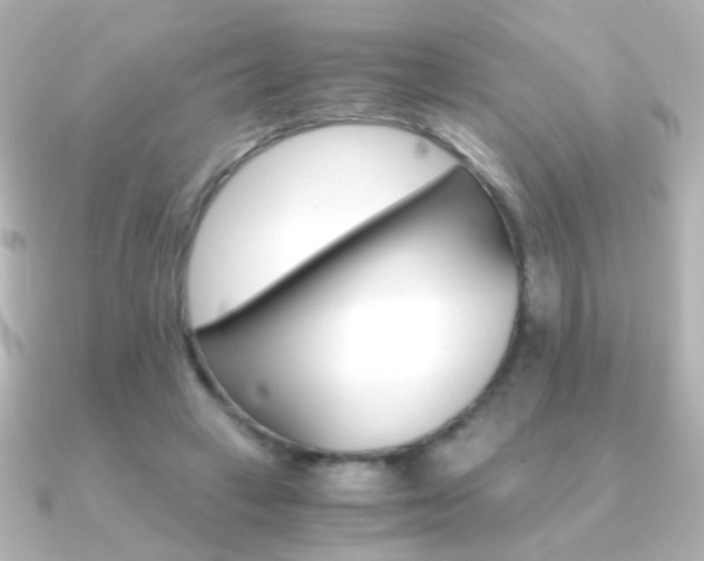 X0000091200449200708091043