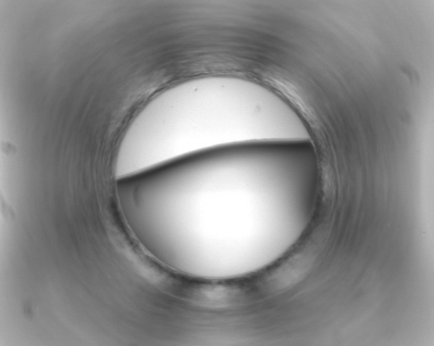 X0000091200453200708091043