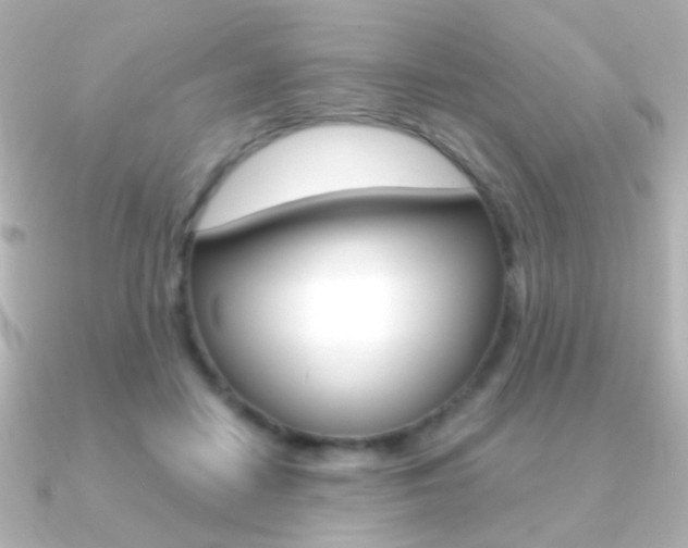 X0000091200458200708091043