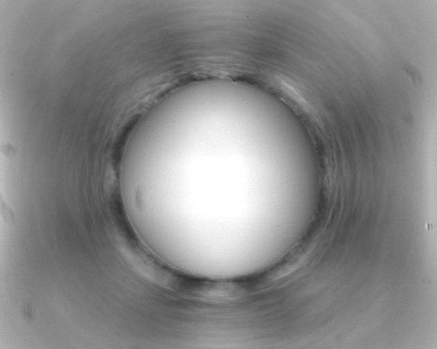 X0000091200459200708091043