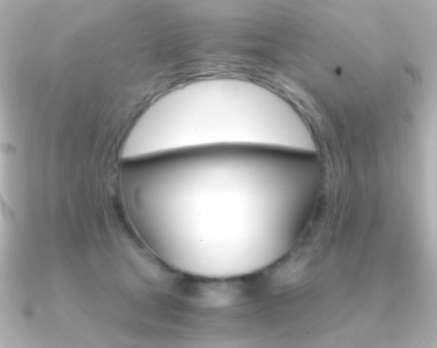 X0000091200465200708091043