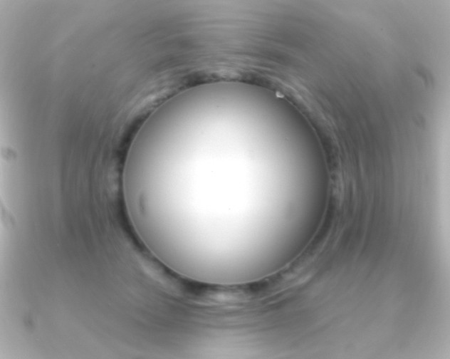 X0000091200466200708091043