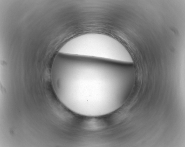 X0000091200467200708091043
