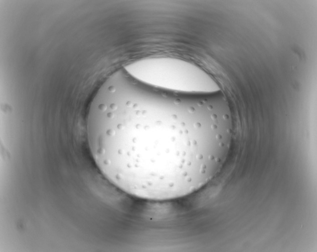 X0000091200469200708091043