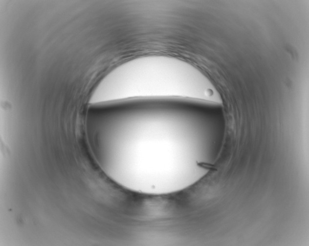 X0000091200470200708091043