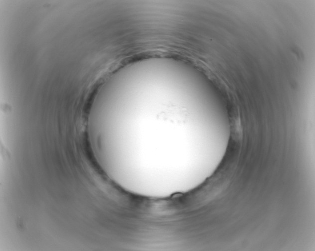 X0000091200472200708091043