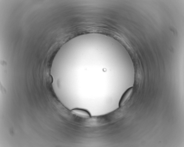 X0000091200473200708091043