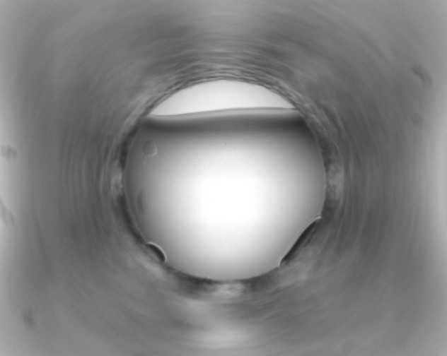 X0000091200474200708091043