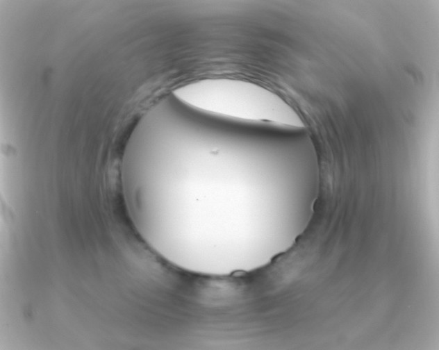 X0000091200475200708091043
