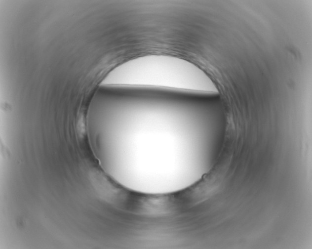 X0000091200479200708091043