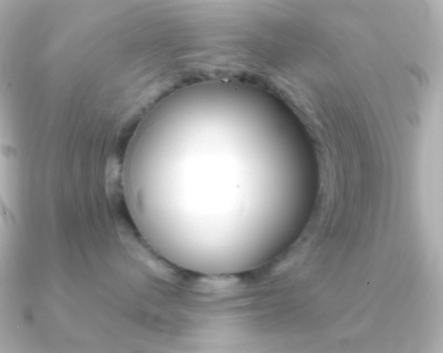 X0000091200480200708091043
