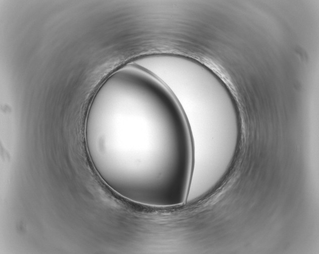 X0000091200481200708091042