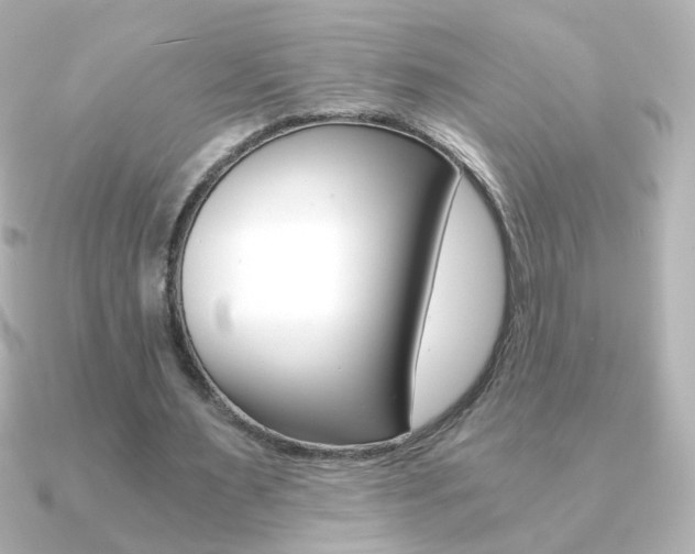 X0000091200483200708091042