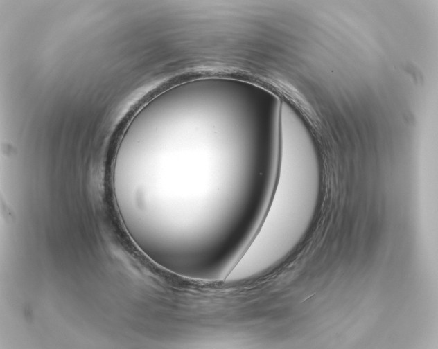 X0000091200484200708091042