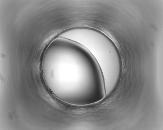 X0000091200485200708091042