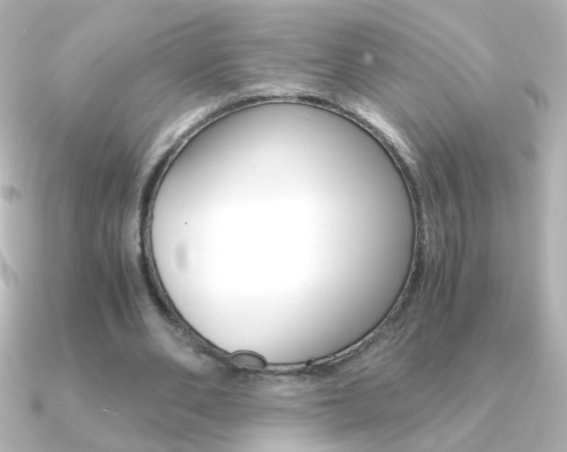 X0000091200486200708091042