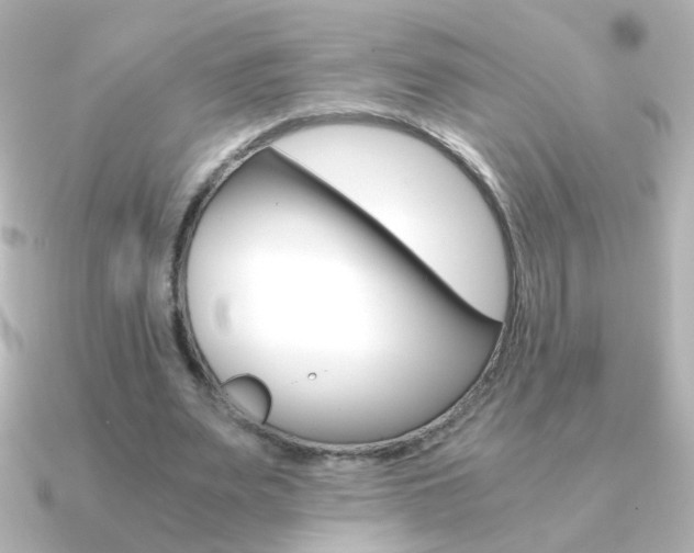 X0000091200487200708091042