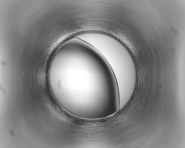 X0000091200488200708091042