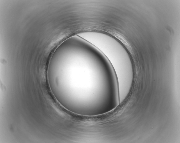 X0000091200489200708091042