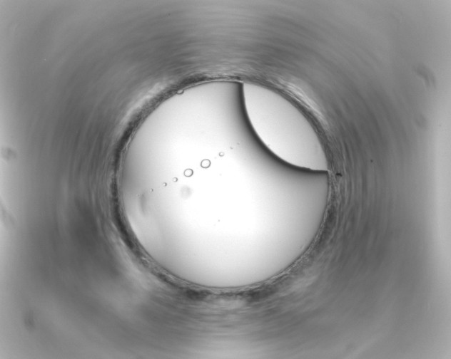 X0000091200491200708091042