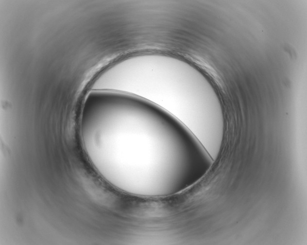 X0000091200492200708091042