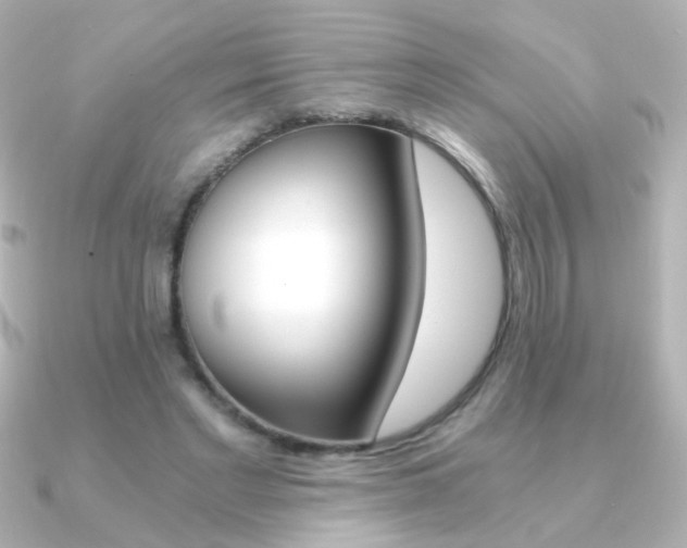 X0000091200493200708091042