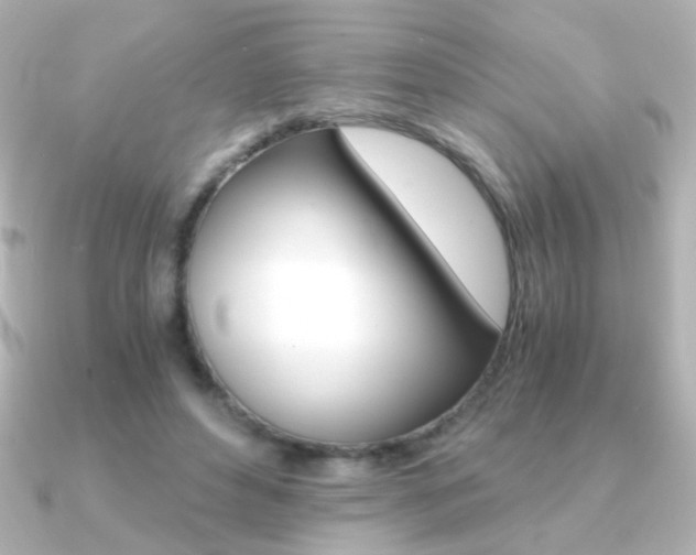 X0000091200496200708091042