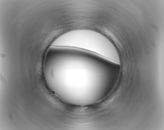 X0000091200497200708091042