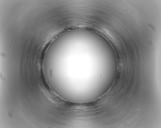 X0000091200500200708091042