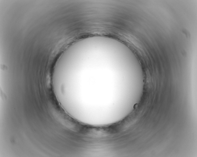 X0000091200502200708091042