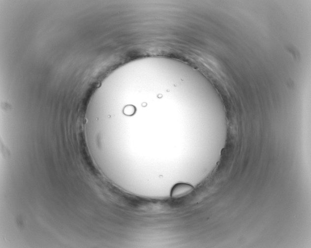 X0000091200503200708091042