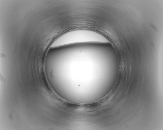 X0000091200504200708091042