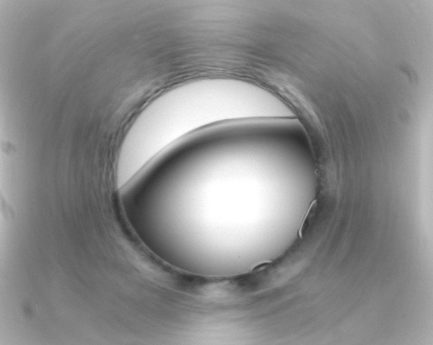 X0000091200505200708091042