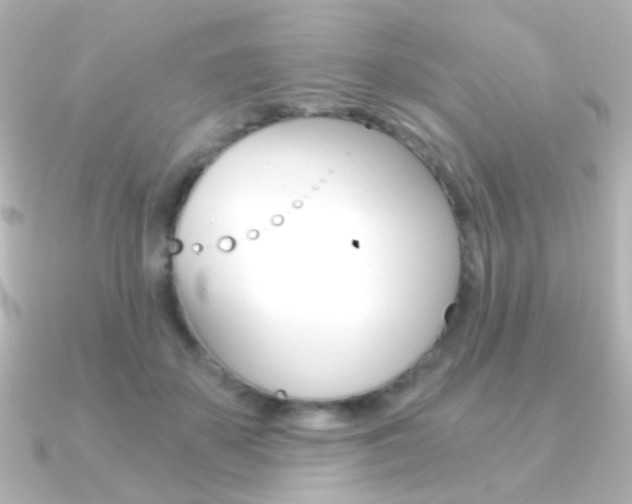 X0000091200507200708091042