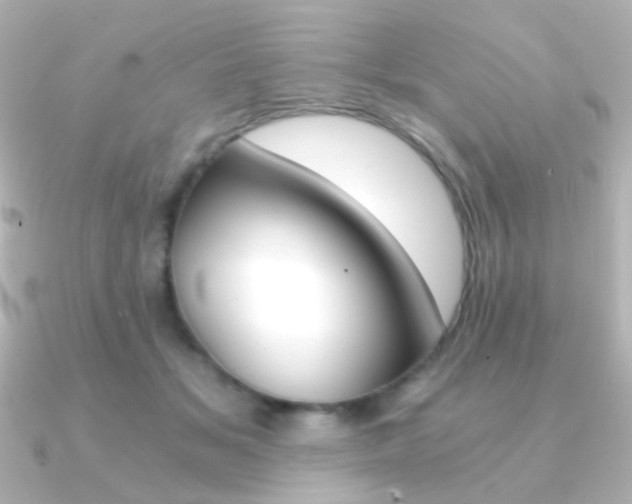 X0000091200509200708091042