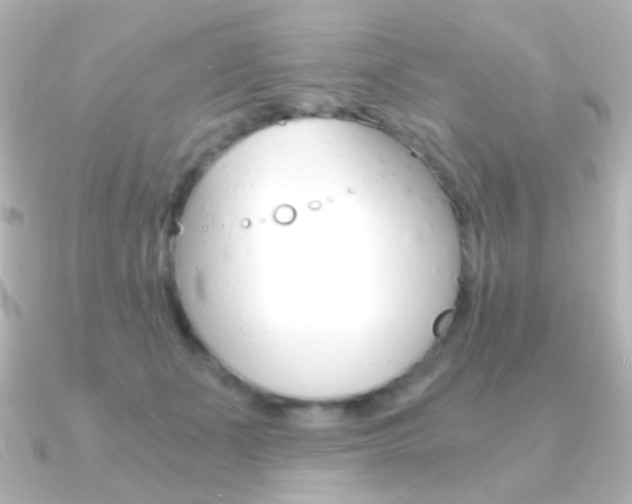 X0000091200511200708091042